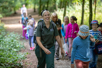 A group of children walking through a woodland 