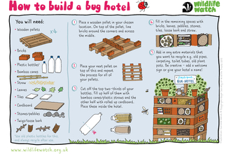 Bug hotel activity sheet, Wildlife Watch