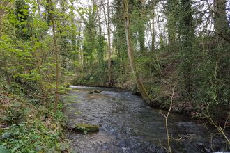 Frome Banks nature reserve