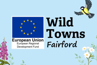 ERDF Wild Towns Fairford