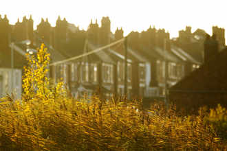 Houses in autumn