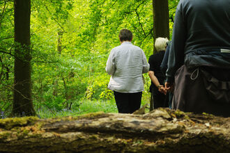 People walking in a woodland