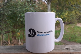 coffee mug landscape