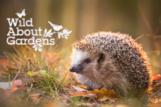 Wild About Gardens card featuring a hedgehog