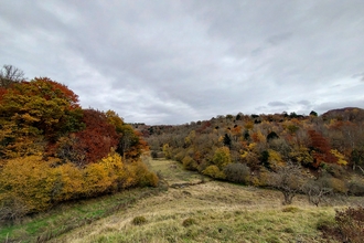 A view of Trillis Banks nature reserve 