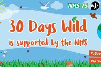 a 30 days wild banner showing The Wildlife Trusts' and the NHS' logo and wildlife scenery