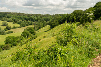 Lush green hill at Crickley