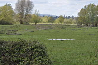 Alney_Island