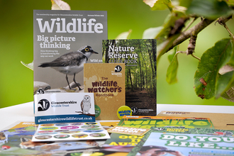 GWT Membership Pack