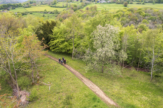 Woodland ride