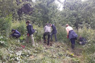 Group of young people clearing dock and brambles from the orchard