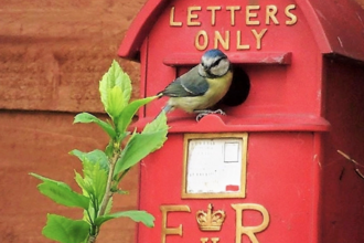 New postie on the block © Sally Terrett