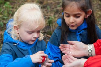 children insect