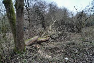 Leaky dams at Robinswood Hill Country Park