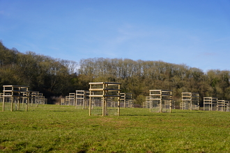 Trees planted in tree guards in a field with a woodland in the distance