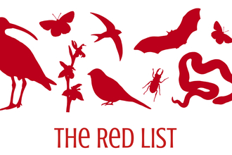 Red Silhouettes of animals over the words "The Red List"