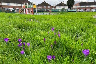 Green space enhancement - Do One Thing