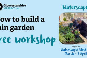 How to build a rain garden in text with a picture of men working on a rain garden