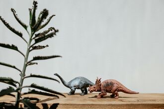 2 Model Dinos