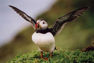 © Lizzie Wilberforce