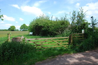 Clarke's Pool Meadow  May 12 2009 - Gate