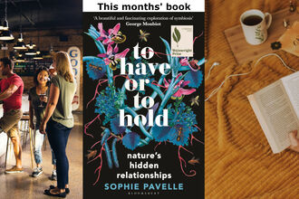 A Triptych showing: People at a bar: The cover of the Book "To have or to hold" by Sophie Pavelle: Close up on someone reading a book