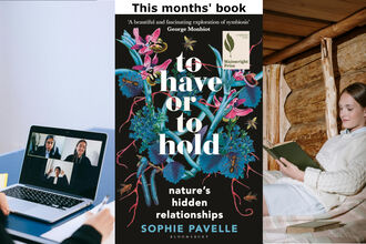 A Triptych: Women on zoom call, cover of the have or to hold, woman reading a book in a log cabin