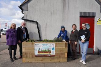Rain garden at Tewksbury