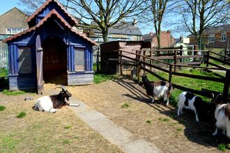 St James City Farm