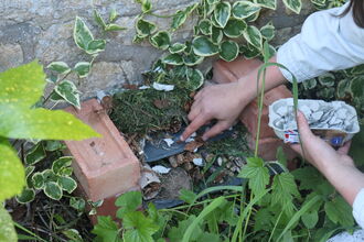 A person building a small habitat pile uisng bricks, slate tile and organic materials.