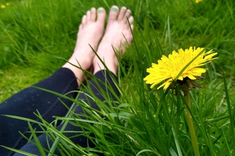 A pair of legs sitting in grass surrounded by dandelions.