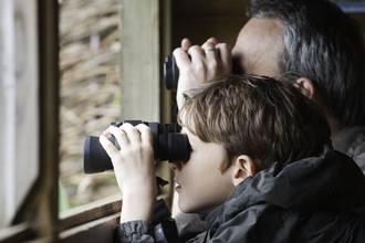 A young boy and his father looking out of a bird hide using binoculars.