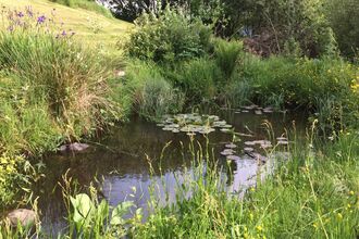Pond
