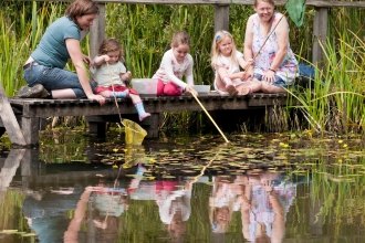 Pond-dipping