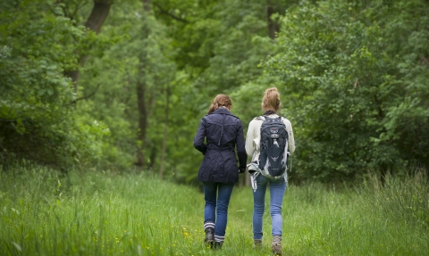 Two people walking in the countryside away from the camera