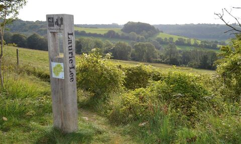 Laurie Lee Woods - Start of walk
