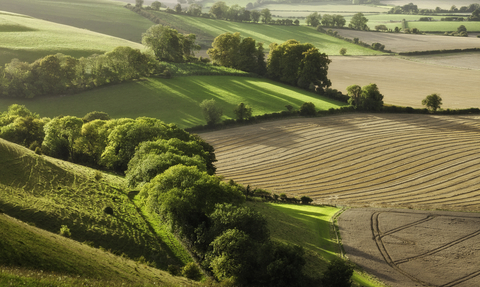 Farm landscape