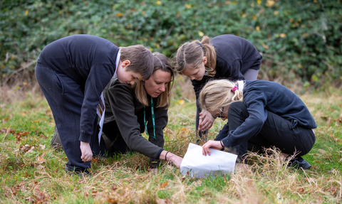 Children search for bugs in the grass