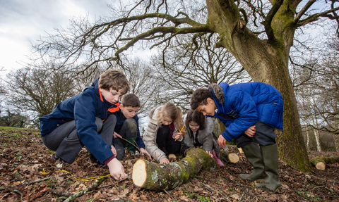 children hunting for invertebrates