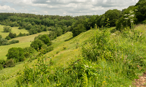 Lush green hill at Crickley