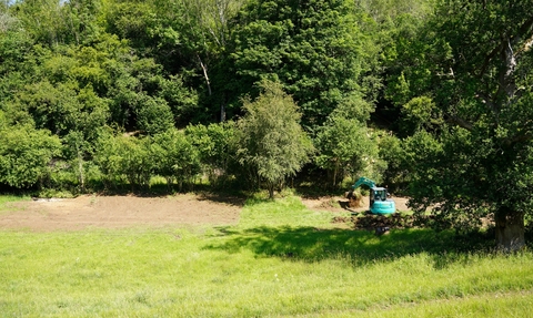 Trillis Wetland Restoration Project
