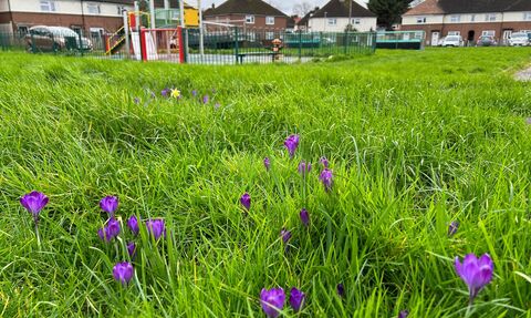 Green space enhancement - Do One Thing