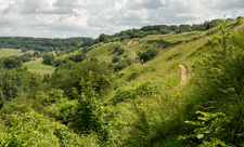 Trails at Crickley Hill 