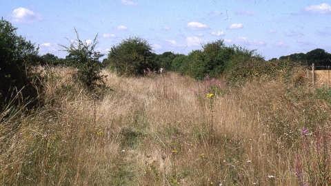 Bryworth Lane Railway