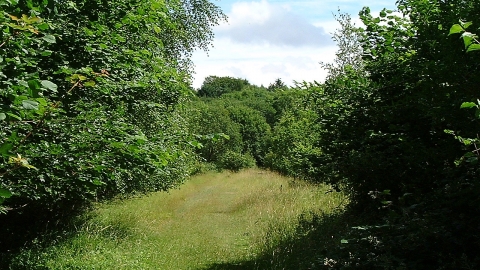 Chedworth