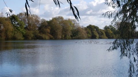 Whelford Pools