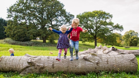 Children on log