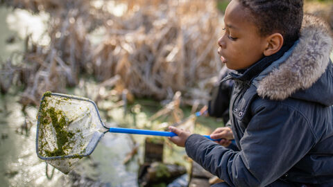 Pond dipping at Robinswood Hill