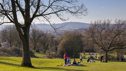 Robinswood Hill (c) Nick Turner