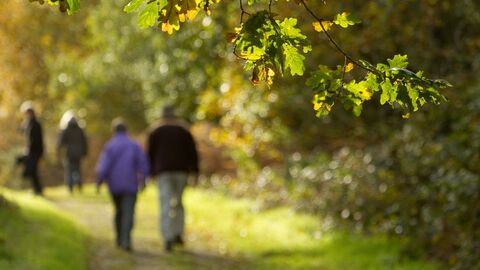 Couple walking - Ben Hall/2020VISION